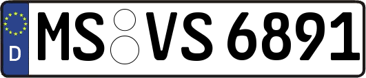MS-VS6891