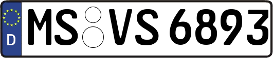 MS-VS6893