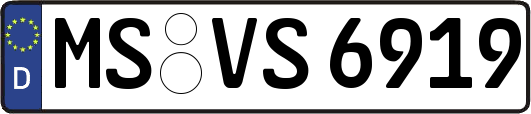 MS-VS6919