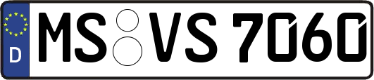 MS-VS7060