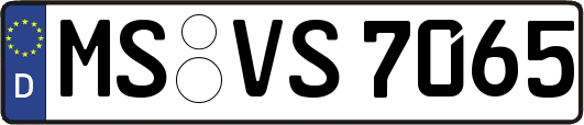 MS-VS7065