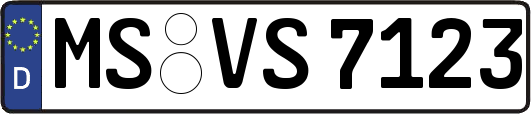 MS-VS7123