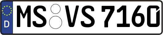 MS-VS7160