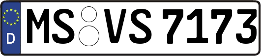 MS-VS7173