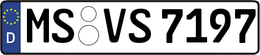 MS-VS7197