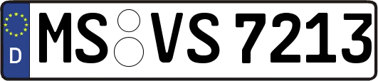 MS-VS7213