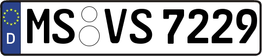 MS-VS7229