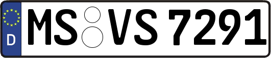 MS-VS7291