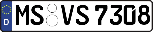 MS-VS7308