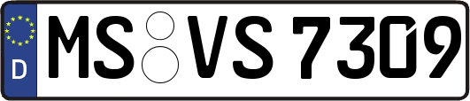 MS-VS7309