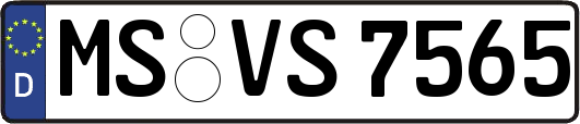 MS-VS7565