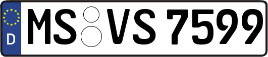 MS-VS7599