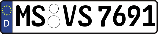 MS-VS7691