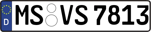 MS-VS7813
