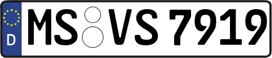 MS-VS7919