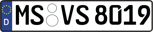 MS-VS8019