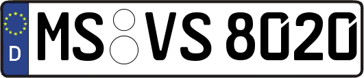 MS-VS8020