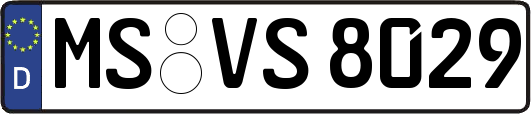 MS-VS8029