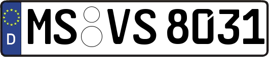 MS-VS8031