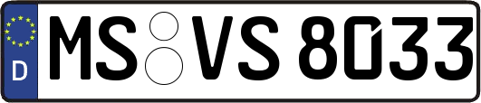 MS-VS8033