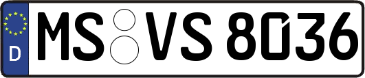 MS-VS8036
