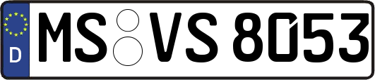 MS-VS8053