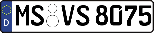 MS-VS8075
