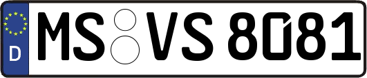 MS-VS8081