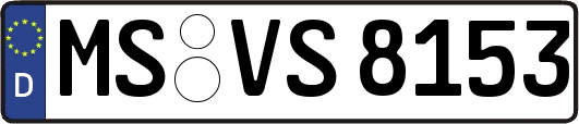 MS-VS8153