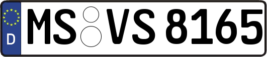 MS-VS8165