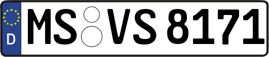 MS-VS8171
