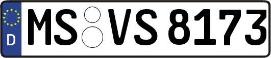 MS-VS8173