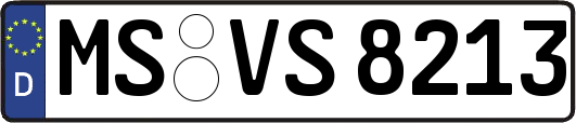 MS-VS8213