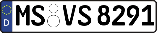 MS-VS8291