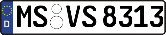 MS-VS8313