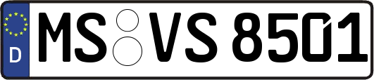 MS-VS8501