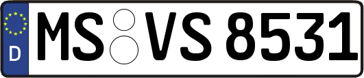 MS-VS8531