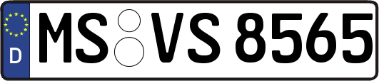 MS-VS8565