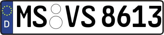 MS-VS8613