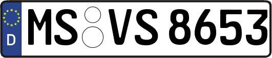 MS-VS8653