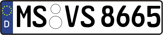 MS-VS8665