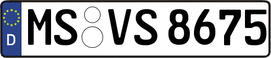 MS-VS8675