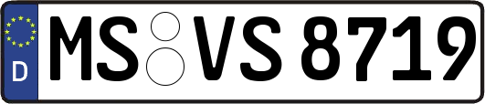 MS-VS8719