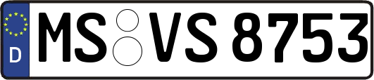 MS-VS8753