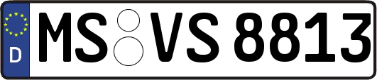 MS-VS8813