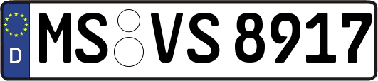 MS-VS8917