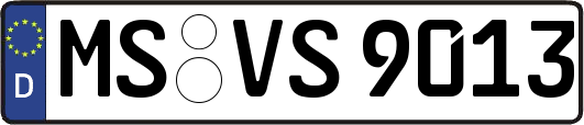MS-VS9013