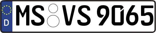 MS-VS9065