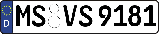 MS-VS9181