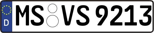 MS-VS9213